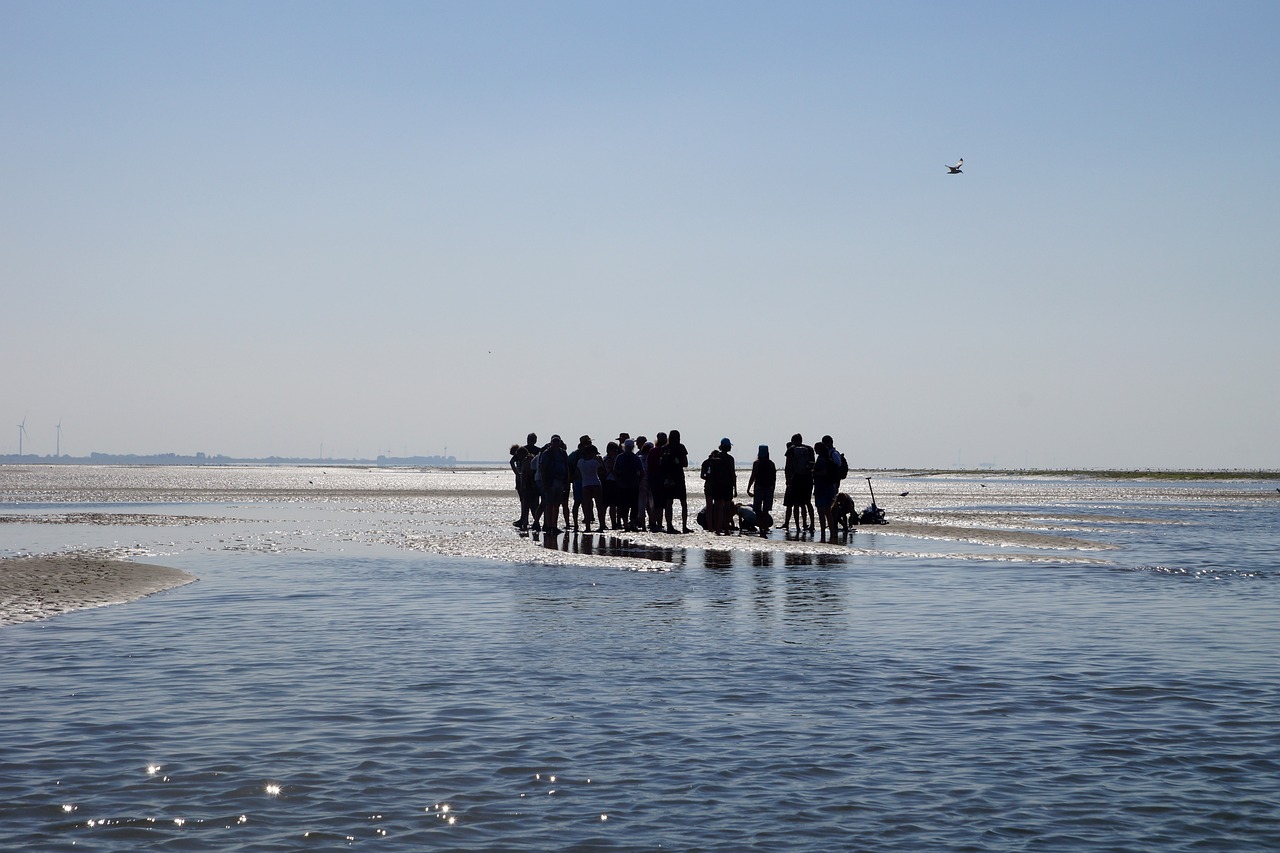 Aktivitäten in Cuxhaven