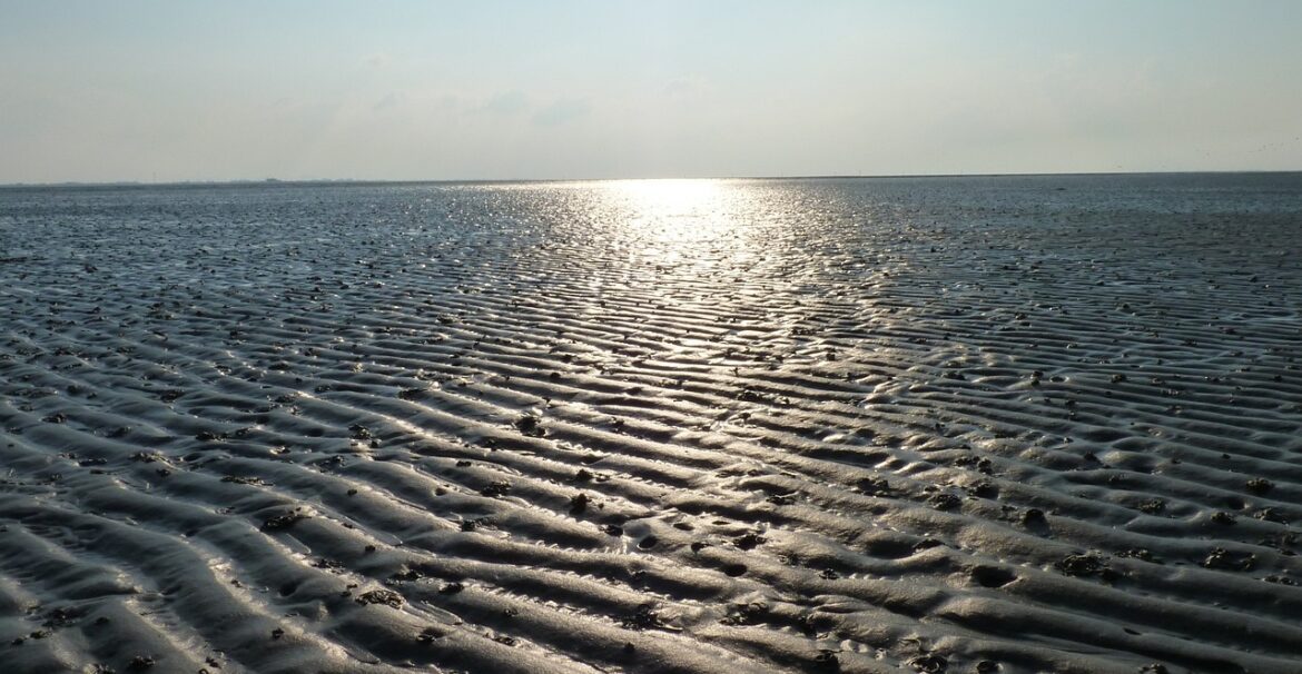 Wattenmeer Besucherzentrum Cuxhaven