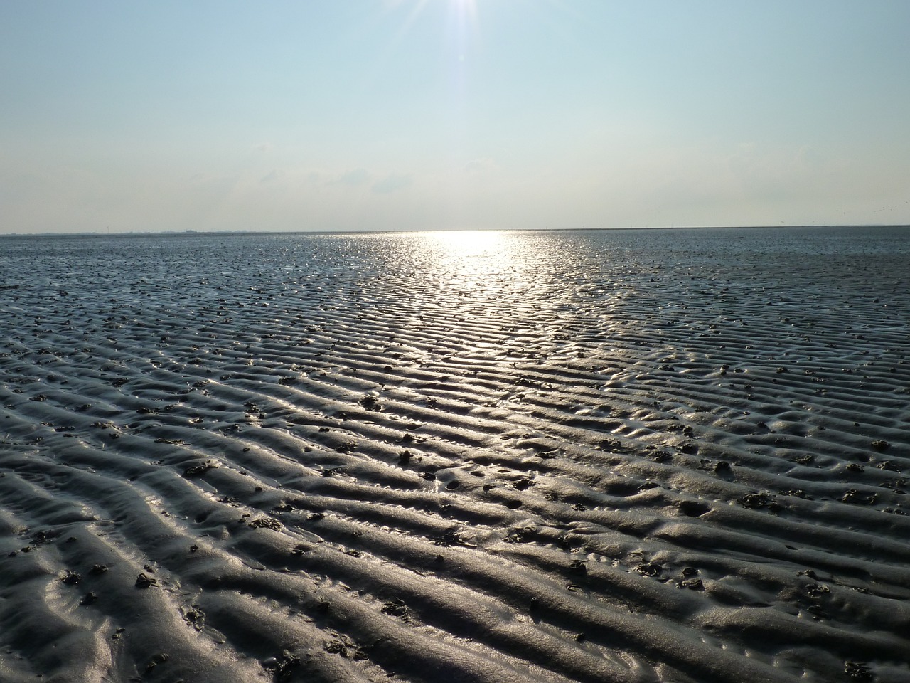 Wattenmeer Besucherzentrum Cuxhaven